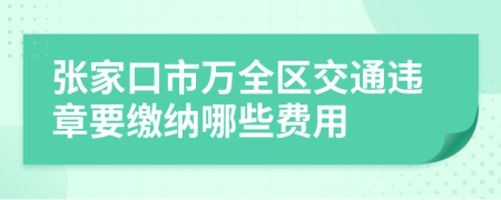 张家口市万全区交通违章要缴纳哪些费用