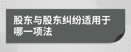 股东与股东纠纷适用于哪一项法