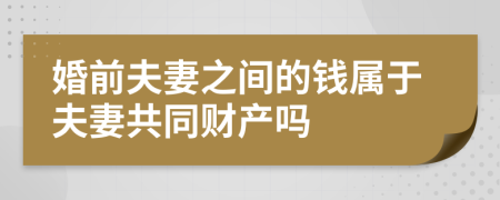 婚前夫妻之间的钱属于夫妻共同财产吗