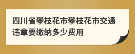 四川省攀枝花市攀枝花市交通违章要缴纳多少费用