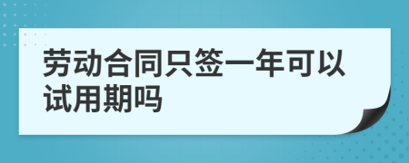 劳动合同只签一年可以试用期吗