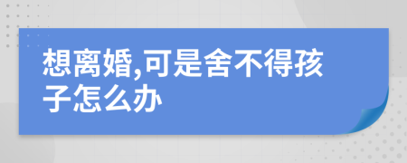 想离婚,可是舍不得孩子怎么办