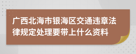广西北海市银海区交通违章法律规定处理要带上什么资料