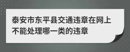 泰安市东平县交通违章在网上不能处理哪一类的违章