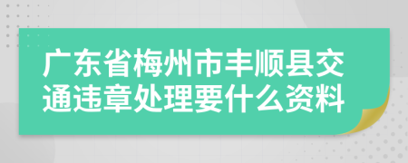 广东省梅州市丰顺县交通违章处理要什么资料