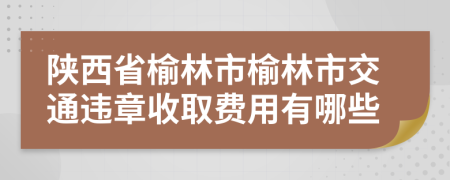 陕西省榆林市榆林市交通违章收取费用有哪些