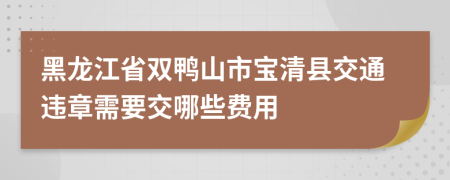 黑龙江省双鸭山市宝清县交通违章需要交哪些费用