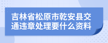 吉林省松原市乾安县交通违章处理要什么资料