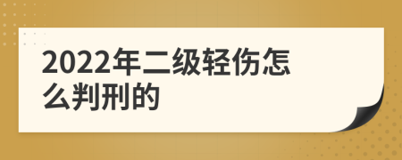 2022年二级轻伤怎么判刑的