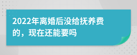 2022年离婚后没给抚养费的，现在还能要吗