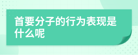 首要分子的行为表现是什么呢