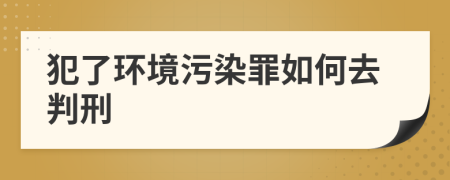 犯了环境污染罪如何去判刑