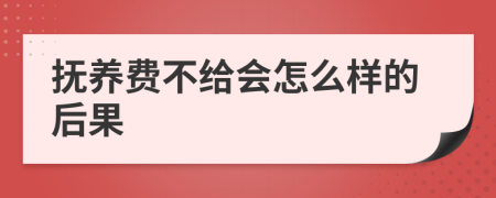 抚养费不给会怎么样的后果