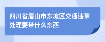 四川省眉山市东坡区交通违章处理要带什么东西