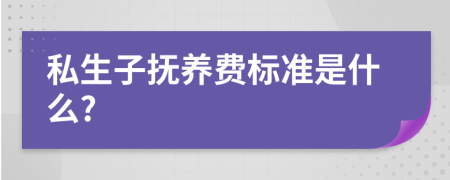 私生子抚养费标准是什么?