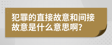 犯罪的直接故意和间接故意是什么意思啊？