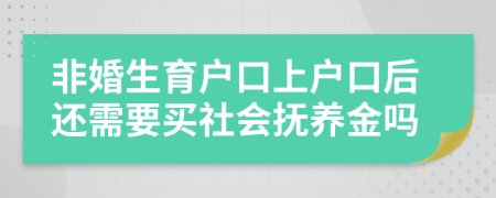 非婚生育户口上户口后还需要买社会抚养金吗