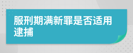 服刑期满新罪是否适用逮捕