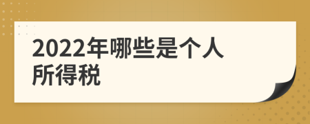 2022年哪些是个人所得税