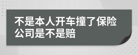 不是本人开车撞了保险公司是不是赔