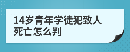 14岁青年学徒犯致人死亡怎么判