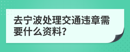 去宁波处理交通违章需要什么资料？