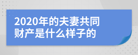 2020年的夫妻共同财产是什么样子的