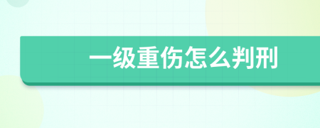 一级重伤怎么判刑