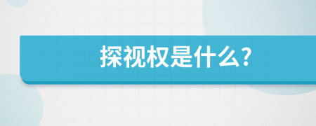 探视权是什么?