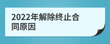 2022年解除终止合同原因