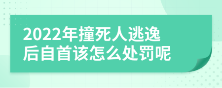 2022年撞死人逃逸后自首该怎么处罚呢