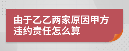 由于乙乙两家原因甲方违约责任怎么算