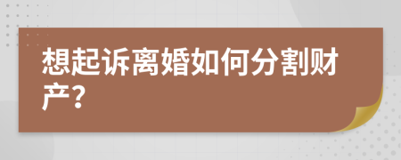 想起诉离婚如何分割财产？