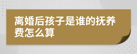 离婚后孩子是谁的抚养费怎么算