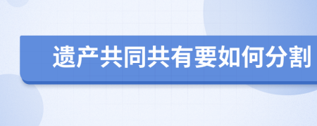 遗产共同共有要如何分割