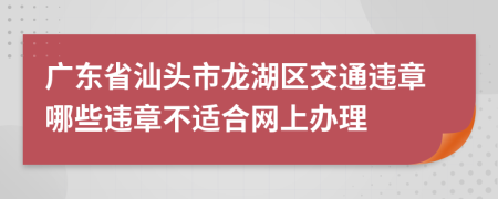 广东省汕头市龙湖区交通违章哪些违章不适合网上办理