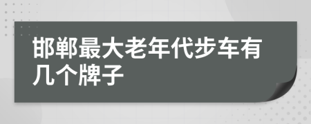 邯郸最大老年代步车有几个牌子