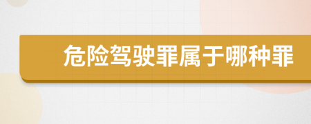 危险驾驶罪属于哪种罪
