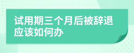 试用期三个月后被辞退应该如何办