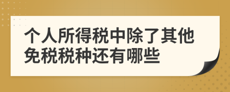 个人所得税中除了其他免税税种还有哪些