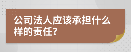 公司法人应该承担什么样的责任？