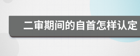 二审期间的自首怎样认定