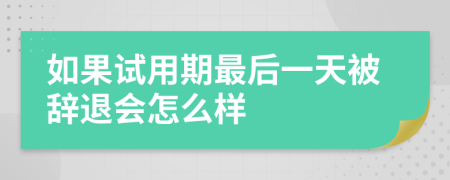 如果试用期最后一天被辞退会怎么样