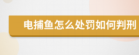 电捕鱼怎么处罚如何判刑