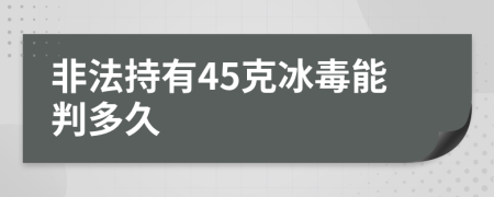 非法持有45克冰毒能判多久