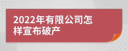 2022年有限公司怎样宣布破产