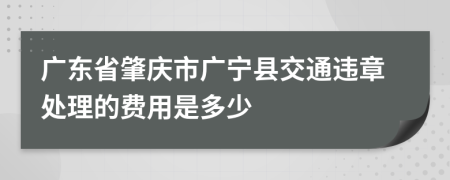 广东省肇庆市广宁县交通违章处理的费用是多少