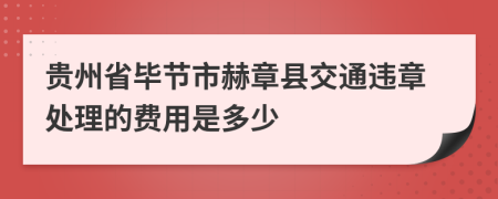 贵州省毕节市赫章县交通违章处理的费用是多少