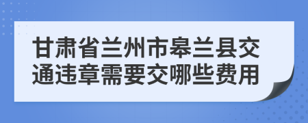 甘肃省兰州市皋兰县交通违章需要交哪些费用