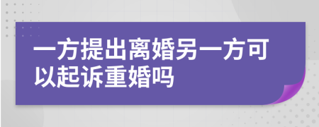 一方提出离婚另一方可以起诉重婚吗